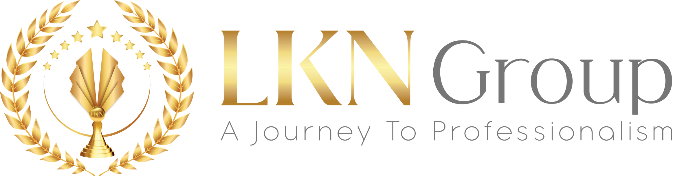 LKN Group logo